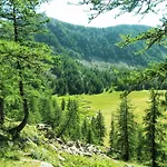 In Near And Forest * Castellane