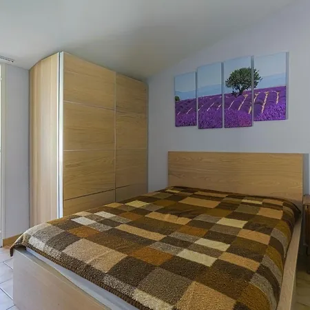 In Near And Forest * Castellane