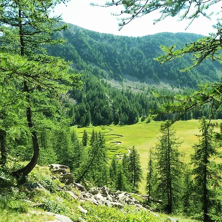 In Near And Forest * Castellane