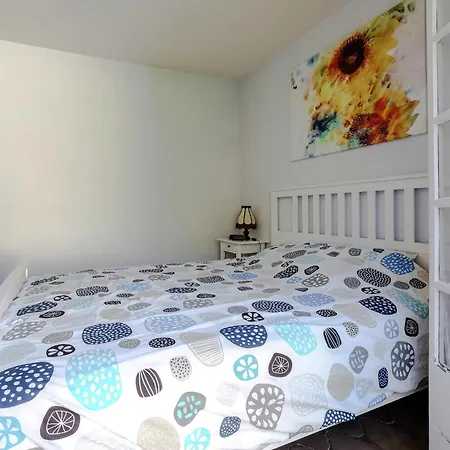 Vila In Near And Forest *