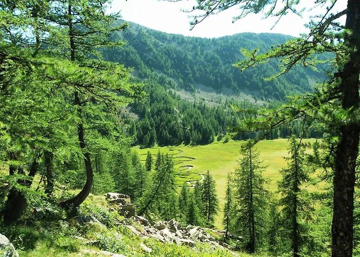 In Near And Forest * Castellane